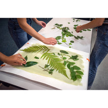 Charger l'image dans la galerie, Photographie alternative - Cyanotype en solo - 1/2j.