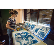 Charger l'image dans la galerie, Photographie alternative - Cyanotype en solo - 1/2j.