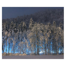 Charger l'image dans la galerie, Couvre Feux (Follets) - Tirage Limité - 30x40 - Encadré