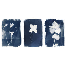 Charger l'image dans la galerie, Découverte du Cyanotype entre amis - 2h.