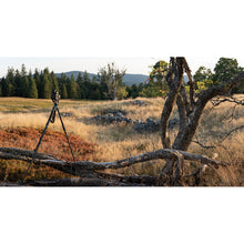 Charger l'image dans la galerie, Photographie Argentique - De la Prise de Vue au Tirage Papier entre amis - 2j.