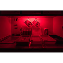 Charger l'image dans la galerie, Chambre Grand Format - De la Prise de Vue au Tirage Papier en solo - 2j.