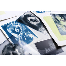 Charger l'image dans la galerie, Photographie alternative - Cyanotype entre amis - 1/2j.