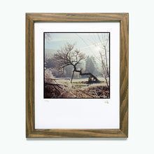 Charger l'image dans la galerie, Morning Frost - 24x30 - Encadré