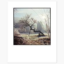 Charger l'image dans la galerie, Morning Frost - 24x30 - Encadré