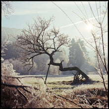 Charger l'image dans la galerie, Morning Frost - 24x30 - Encadré