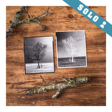 Charger l'image dans la galerie, Chambre Grand Format & Négatif Papier en solo - 1j.