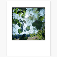 Charger l'image dans la galerie, Spiritual Leaf - 24x30 - Encadré