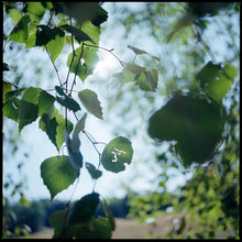 Charger l'image dans la galerie, Spiritual Leaf - 24x30 - Encadré