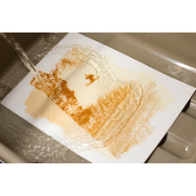 Charger l'image dans la galerie, Photographie alternative - Van Dyke en solo - 1/2j.